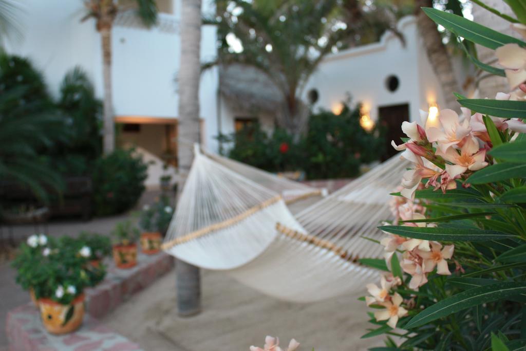 Hotel Casa Costa Azul San José del Cabo Exterior foto