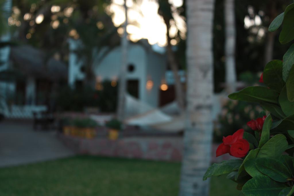 Hotel Casa Costa Azul San José del Cabo Exterior foto